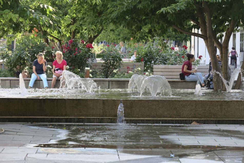Wasserschaden im Rosenhof: Die Umrandung eines Wasserspiels ist nicht mehr ganz dicht.