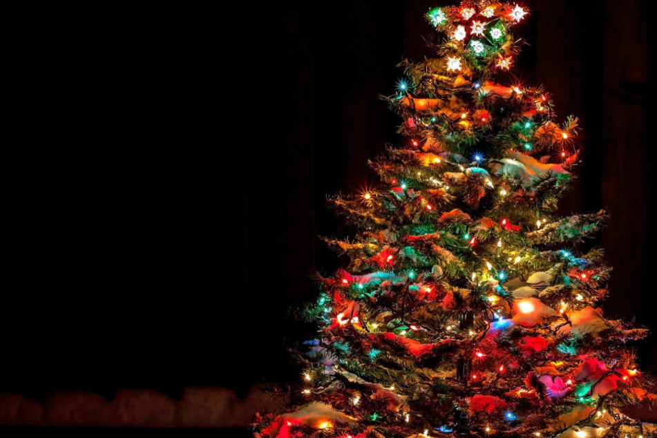 Beim Schmücken eines Christbaums sind fünf junge Menschen tödlich verunglückt.