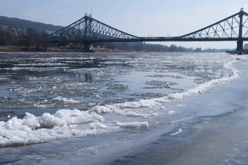 Die Elbe in Dresden friert immer weiter zu.