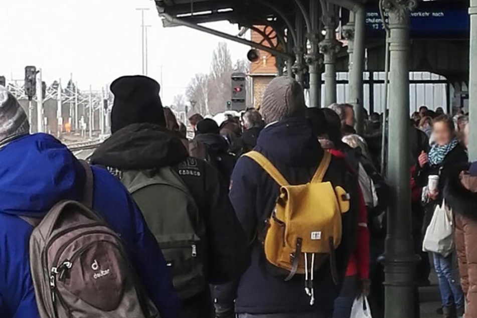 Der sehnsüchtige Blick in die Ferne, doch vom Pendelzug ist nichts zu sehen.