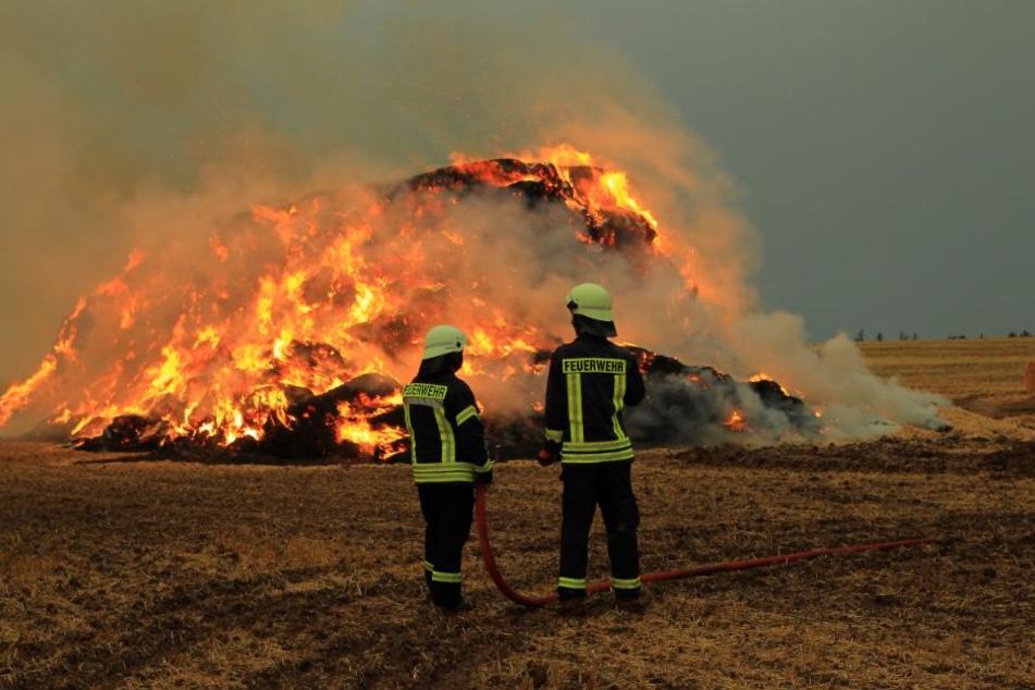 Das Feuer soll kontrolliert abbrennen.