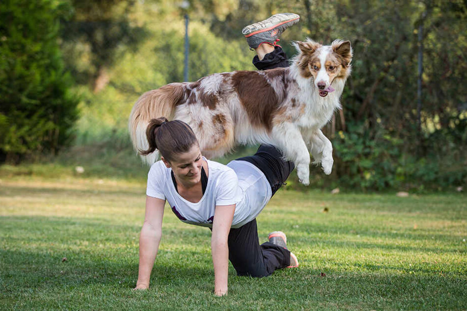 Jessica Lang trainiert mit ihrer Hündin Elliott seit Monaten für die Dogdance-Meisterschaft. Bei dem Sport präsentieren Mensch und Hund zu Musik eine selbst erarbeitete Choreografie.