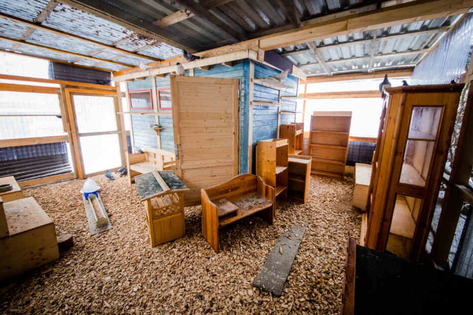 Blick in das Hospiz für Tauben: Hier finden verletzte Tiere ein letztes Zuhause.