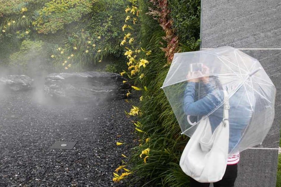Bei Regenwetter haben wenig Menschen Lust auf Gartenausstellung.
