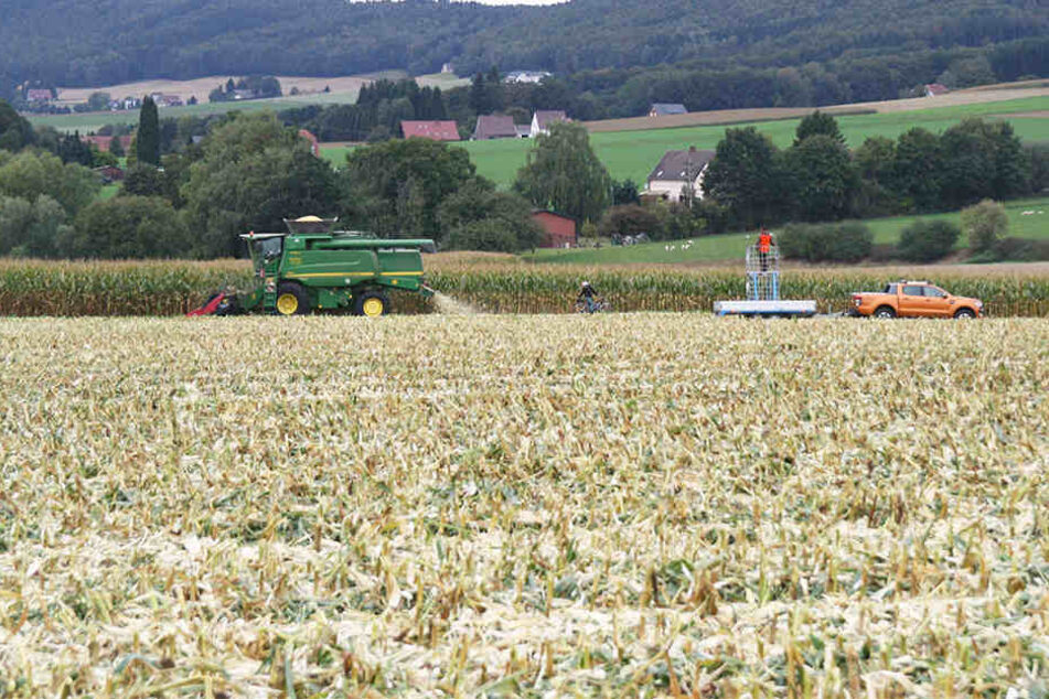 An diesem Feld in Holsen versammelten sich die Jäger und wollten Jagd auf das Wild machen.