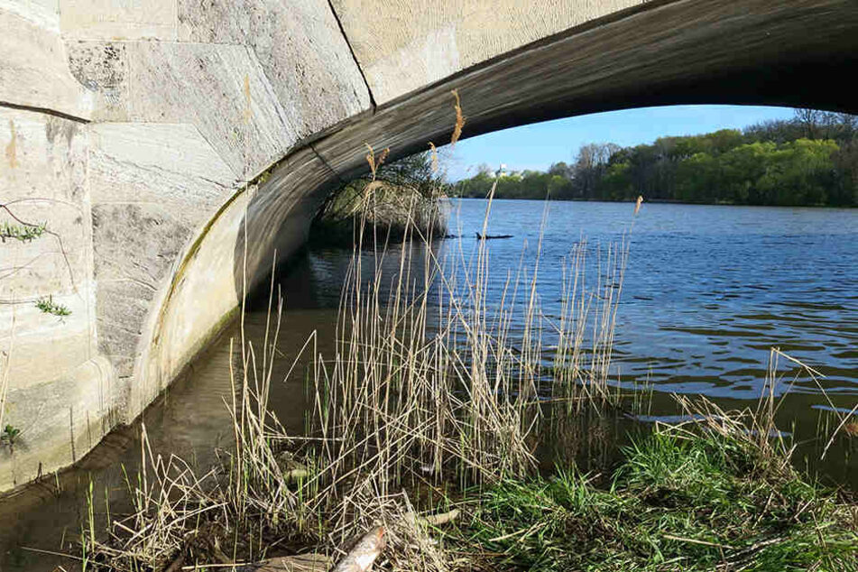 Nur mit größter Anstrengung konnte sich der Wachschützer ans Ufer des Elsterkanals retten.