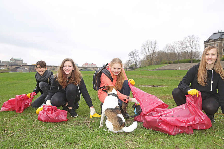 Großreinemachen: Franz (14, v.l.), Isabel (14), Jasmin (14) mit Hündchen
Rufus (7) und Tibby (15) putzten gemeinsam die Elbwiesen.