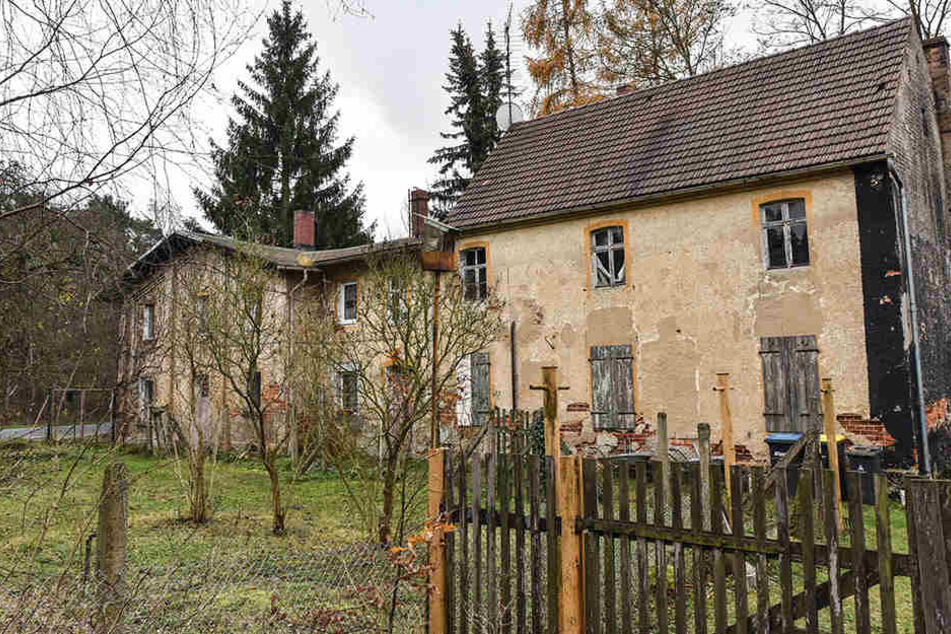 Das Dorf Alwine wurde tatsächlich versteigert.