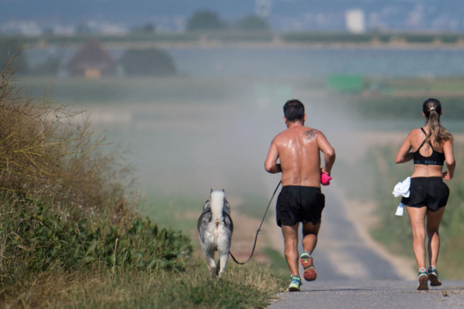 Empfindliche Menschen sollten auf Sport bei erhöhten Ozonwerten verzichten.