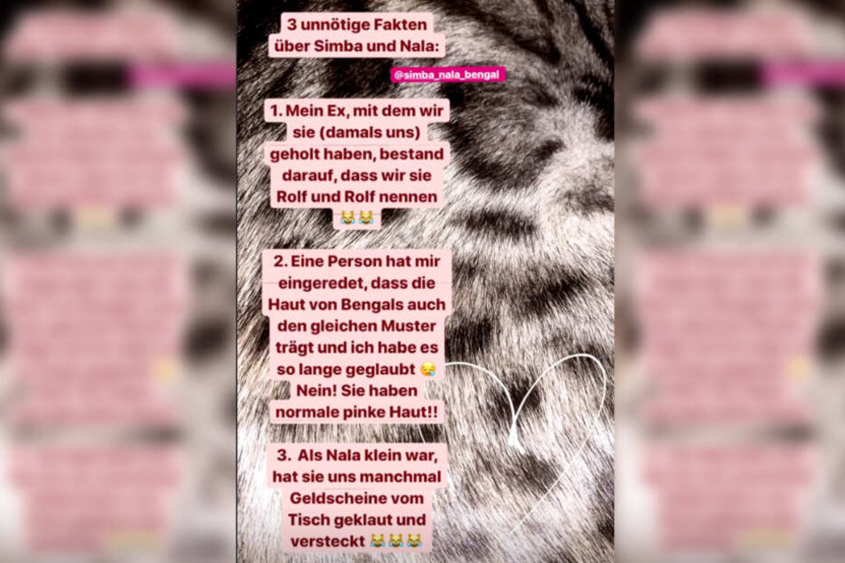 Der Screenshot zeigt die Instagram-Story von Anastasiya Avilova.