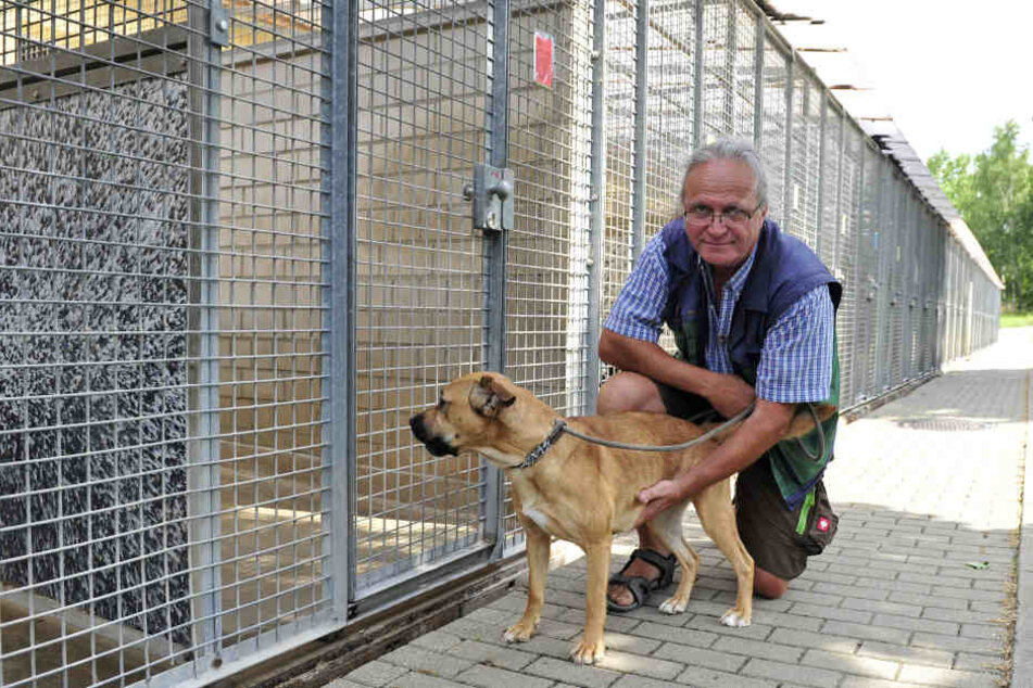 Tierheim-Chef Jens von Lienen (59) warnt davor, sich Hunde aus dem Urlaub mitzubringen.Tierheim-Chef Jens von Lienen (59) warnt davor, sich Hunde aus dem Urlaub mitzubringen.