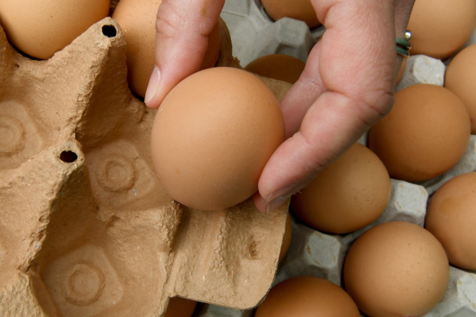 In Bio-Eiern der Firma Eifrisch wurden Salmonellen nachgewiesen. Deshalb gilt ein bundesweiter Rückruf in mehreren Supermarktketten.