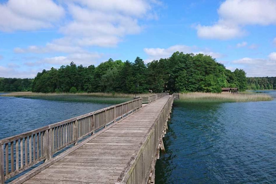 Eine Holzbrücke verbindet die "Herzinsel" im Brückentinsee bei Dabelow (Mecklenburg-Vorpommern) mit dem Festland.