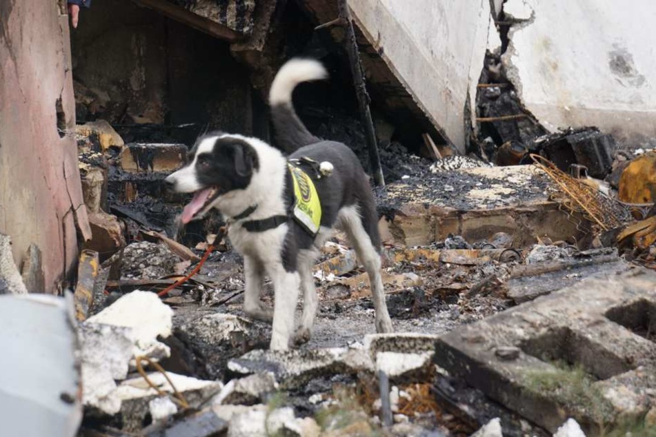 Spürhunde fanden bis Montagabend keinen Menschen unter den Trümmern.