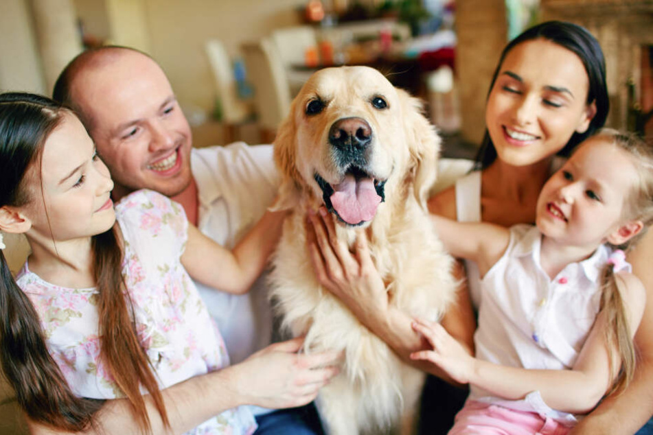 Hunde sind eine Bereicherung für viele Familien.