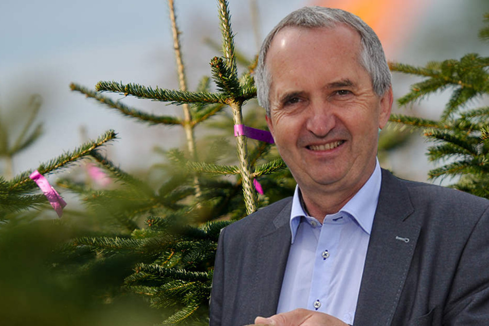 Landwirtschaftsminister Thomas Schmidt (CDU) rät zum Kauf sächsischer Bäume.