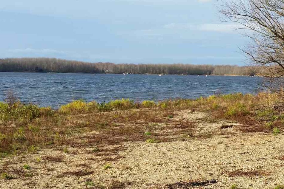 Wie hier am Speicherbecken Witznitz bei Borna wird vor dem Baden aufgrund von Blaualgen gewarnt.