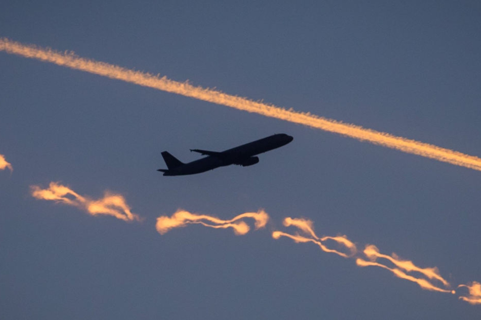 Der Flieger sollte von Frankfurt am Main nach Houston/Texas fliegen. (Symbolbild)