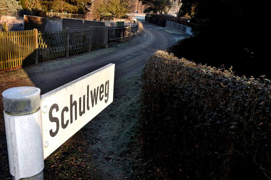 Eindeutiger geht es nicht - könnte man meinen. Doch dieser „Schulweg“ ist dem Tauchaer Rathaus zu
unsicher, um ihn als solchen den Schülern zu empfehlen.