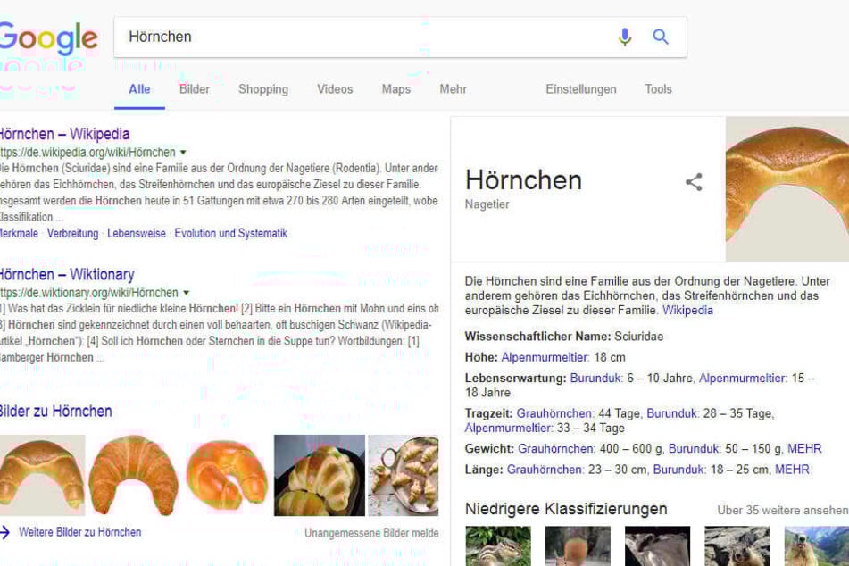 Google macht aus dem Gebäck kurzerhand ein Nagetier.