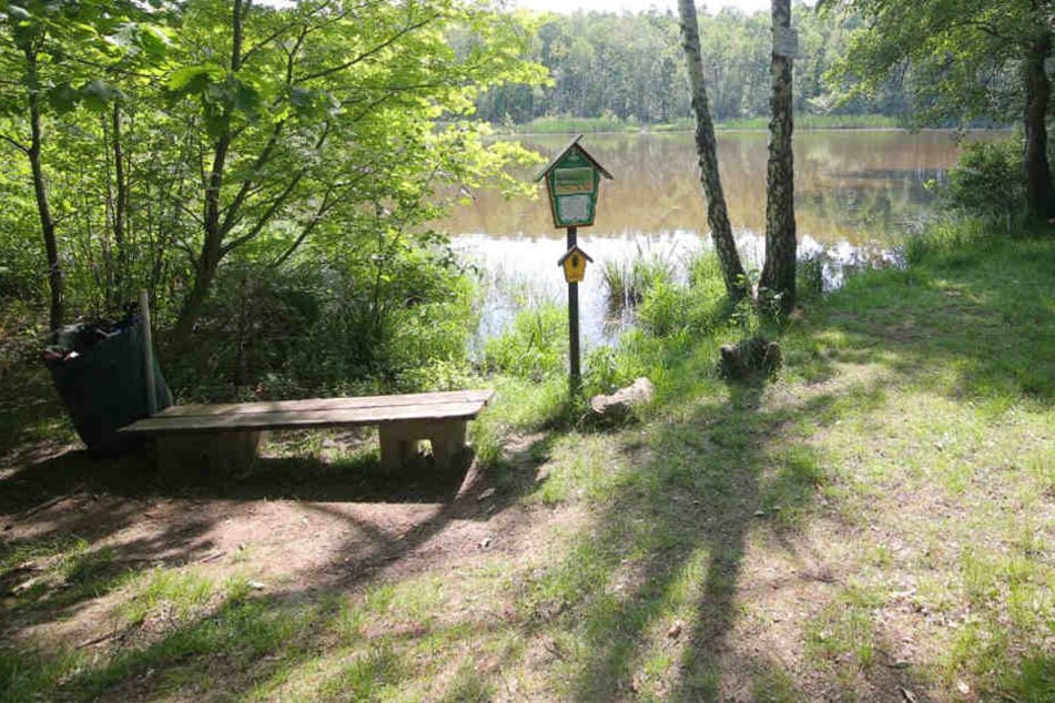 In einem Wald in der Nähe von Weinböhla fanden die Beamten die Leiche.