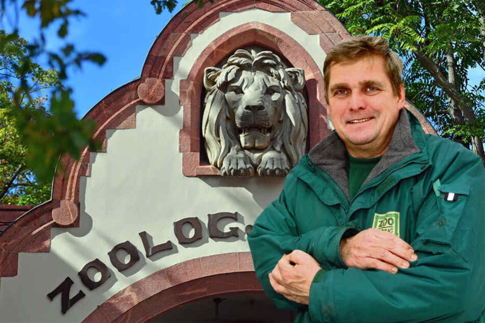 Für ihn war es auch Neuland: Zoo-Tierarzt Dr. Andreas Bernhard operierte den Elefant gemeinsam mit einer Pferde-Chirurgin der Uni-Tierklinik Leipzig.