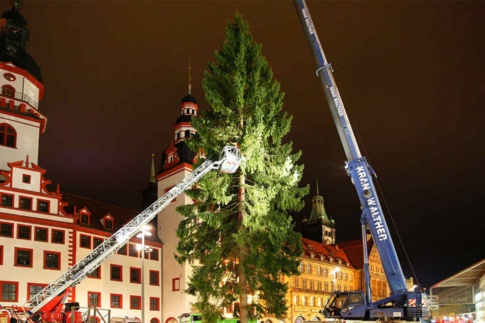 Es ist angeliefert:
Die Fichte
steht. Am
Abend wurde
der Baum aus
dem Vogtland
auf dem Chemnitzer
Markt
aufgestellt.
