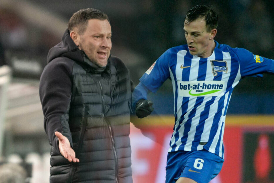 Pal Dardai ist mit den Leistungen von Vladimir Darida derzeit nicht zufrieden.