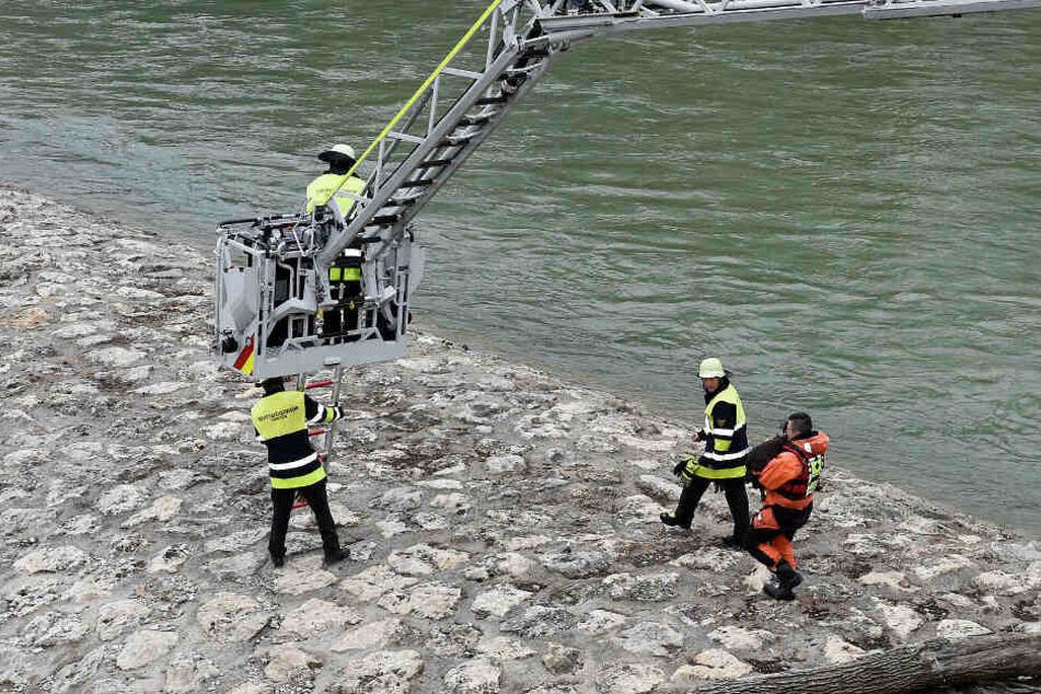 Mit einer Drehleiter befreite die Feuerwehr München die Hündin.