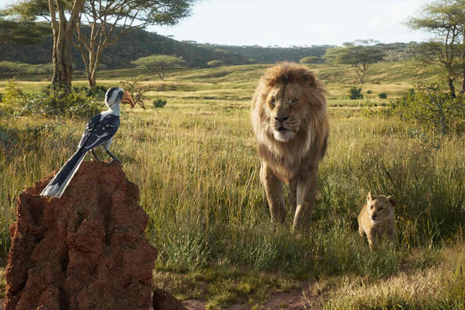 Mufasa (M.) bringt seinem Sohn und Erben Simba (r.) mit der Hilfe vom Rotschnabeltoko Zazu einiges bei.