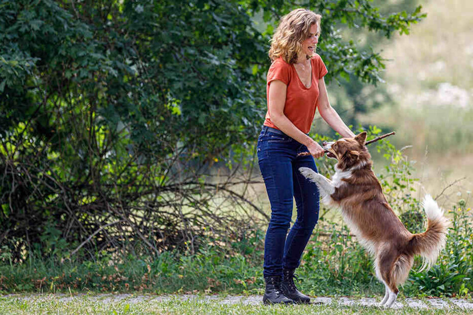 Erstmals hat die TV-Ermittlerin ihren Border Collie Pola (2) mit am Filmset - und in den Pausen viel Spaß und Bewegung.