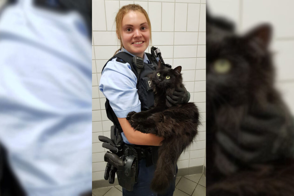 Die Bundespolizisten hält die gerettete Katze in ihren Armen.
