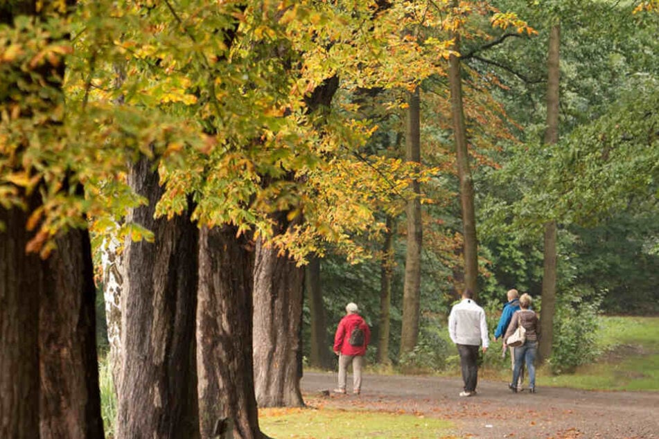 Der Herbst zeigt sich in den nächsten Tagen noch von seiner schönsten Seite.
