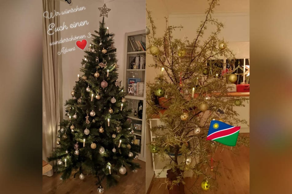 Die Weihnachtsbäume von Anna und Gerald.