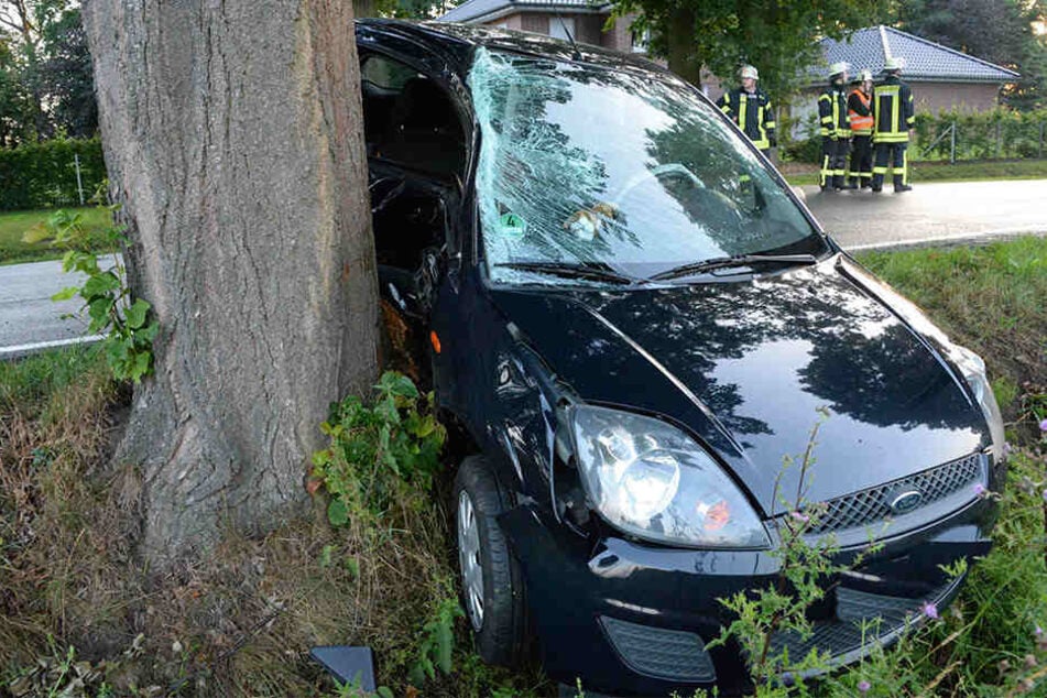 Das Auto krachte gegen einen Baum.