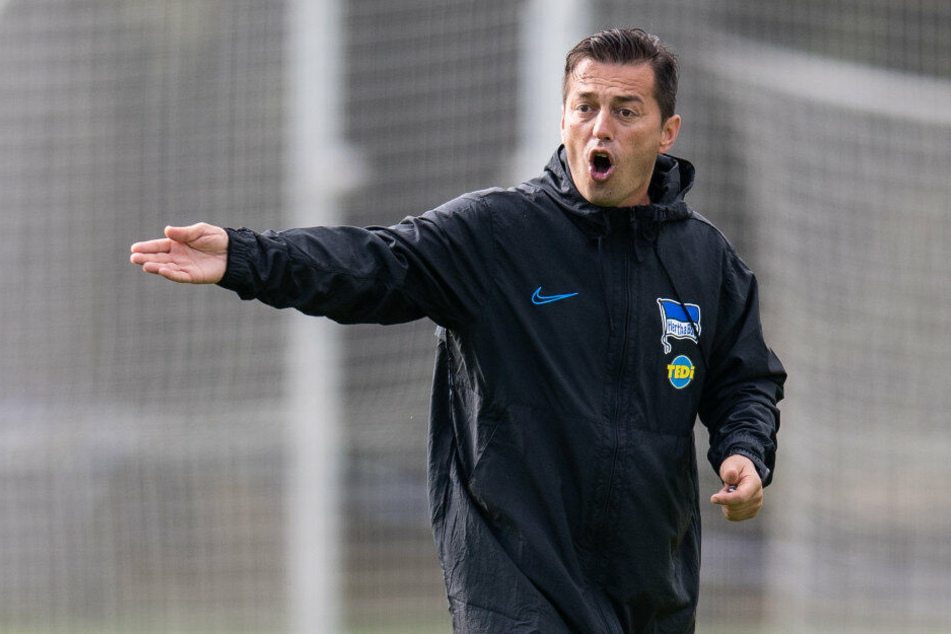 Ante Covic scheint sein Team gefunden zu haben.