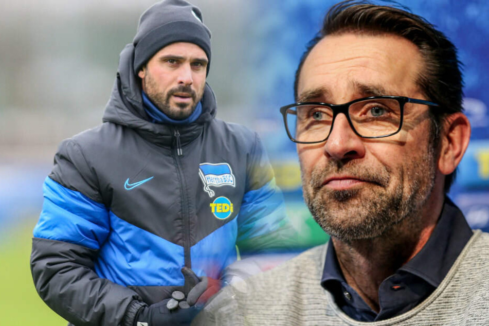 Alexander Nouri (l) wird gegen den SC Paderborn wohl auf der Bank sitzen. Michael Preetz wird sich erstmals nach dem Rücktritt von Klinsmann äußern.