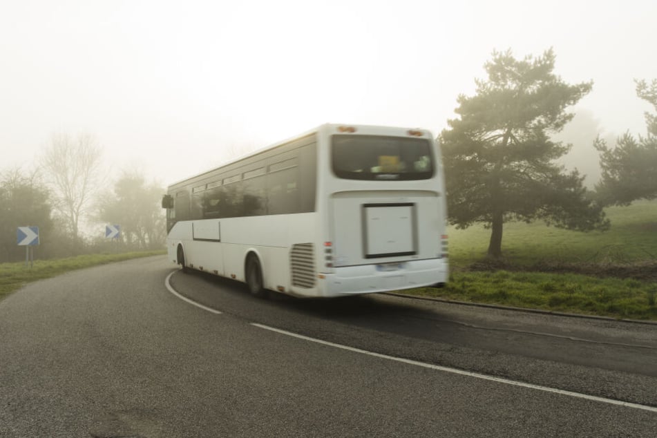 Der Busfahrer ließ die Frau einfach irgendwo im Wald raus. (Symbolbild)