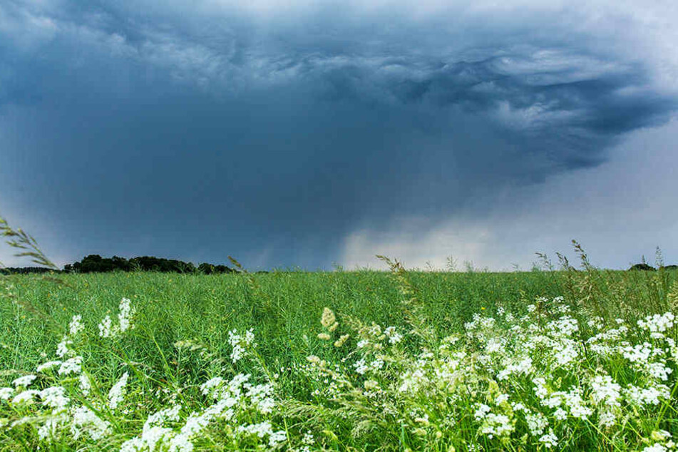Der DWD hat für diesen Dienstag schwere Unwetter in Sachsen angekündigt. Diese dunkle Regenfront zieht gerade Richtung Leipzig.