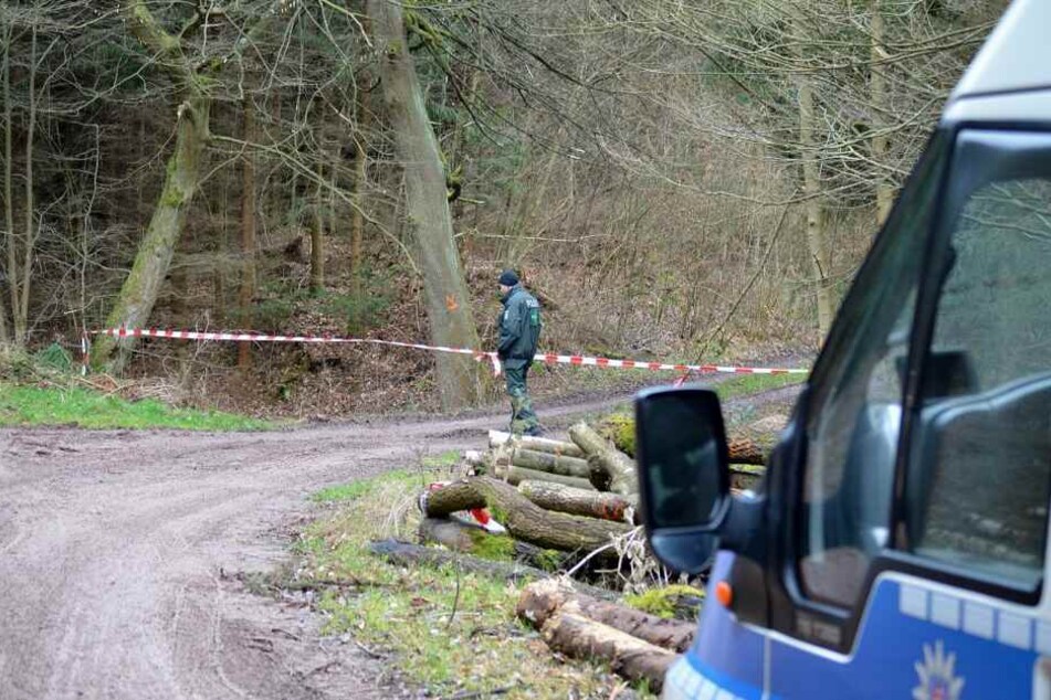 Die Polizei sperrte das Waldstück ab, brachte die Kadaver weg. (Symbolbild)