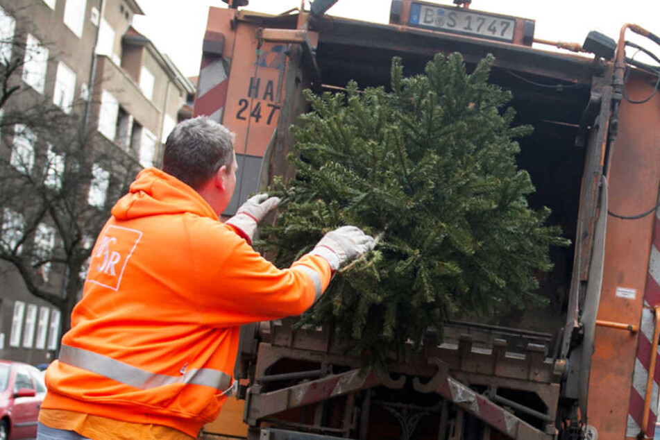 Ein Mitarbeiter der Berliner Stadtreinigung entsorgt einen alten Weihnachtsbaum.
