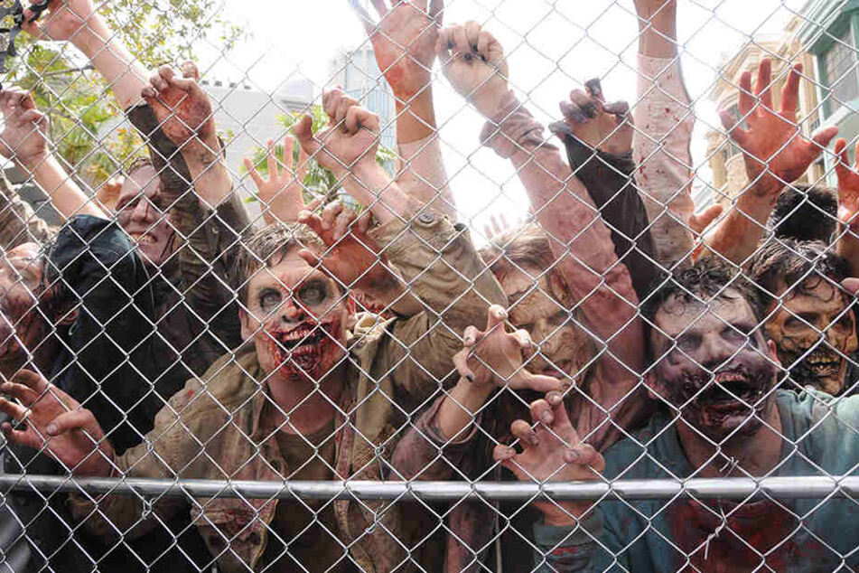 In The Walking Dead spielen sie die gruseligsten Nebenrollen: Zombies!