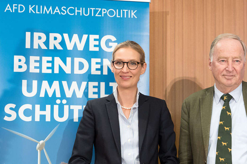 Alice Weidel (38) und Alexander Gauland, die AfD-Spitzenkandidaten für die Bundestagswahl, äußerten sich auf einer Pressekonferenz zum Thema Klimawandel.