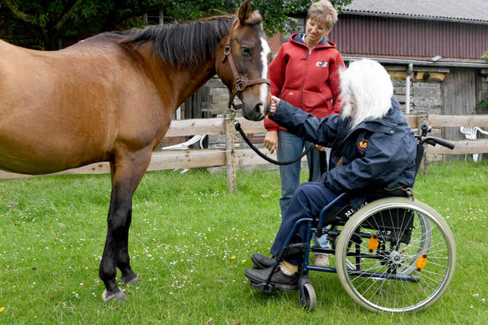 Ute Abraham, Betreiberin der "Sunny-Ranch", erfüllt dem 82 Jahre alte Edzard Riek einen Herzenswunsch mit dem Besuch auf dem Pferdehof.