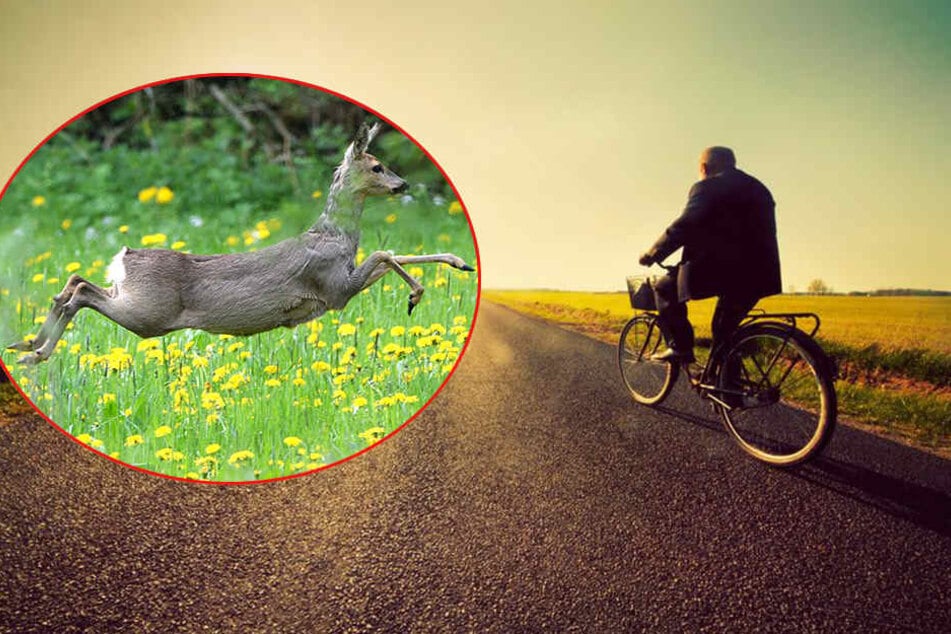 Ein Tier erwischte das Vorderrad des 52-Jährigen. (Symbolbild)