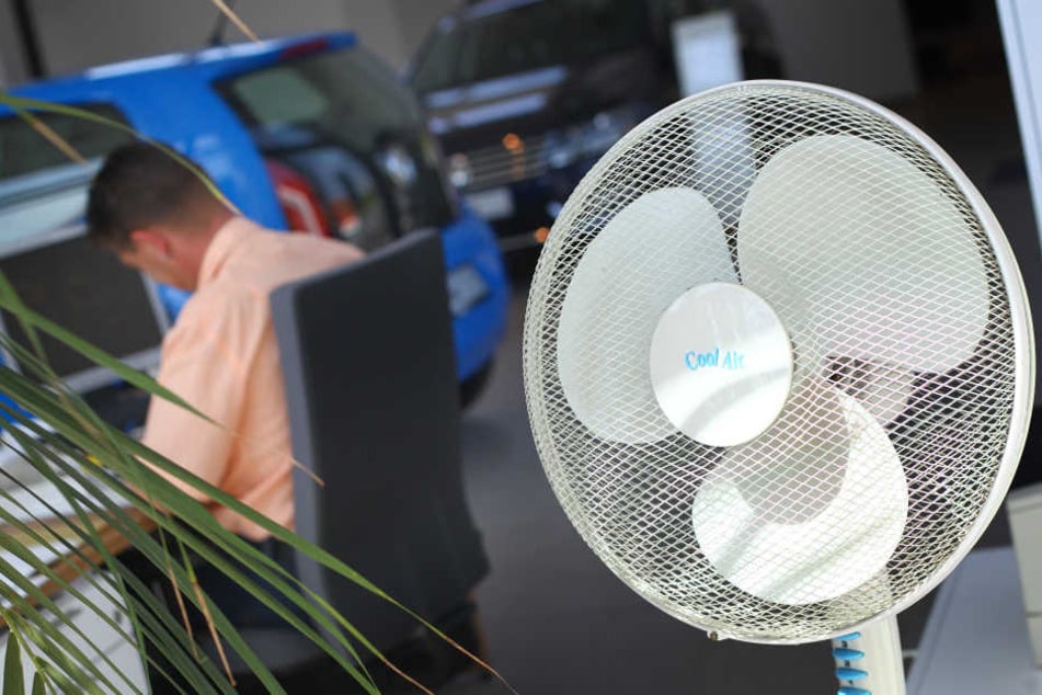 Sind Ventilatoren Krankmacher?