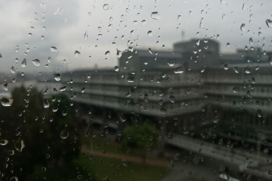 Regentropfen laufen an einer Fensterscheibe am Hamburger Hafen herunter.
