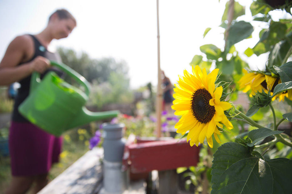 Helft mit, den Agra-Park für den Frühling fit zu machen!