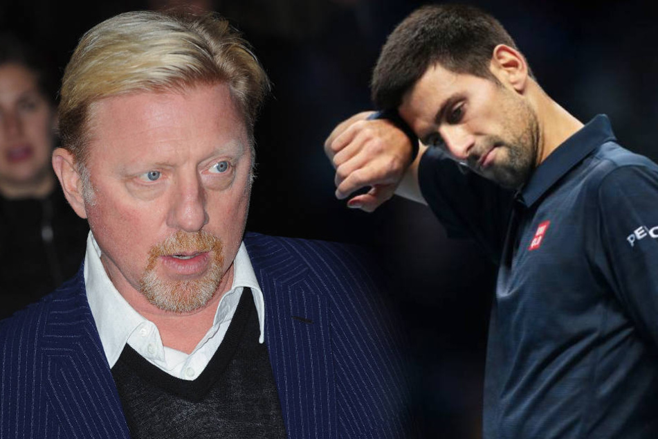 Mit Becker hatte Djokovic zweimal die Australian Open, zweimal in Wimbledon sowie einmal die French Open und US Open gewonnen.