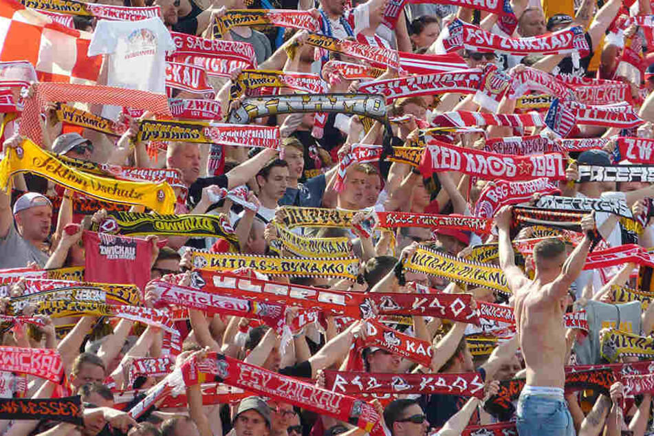 Rot-weiße und schwarz-gelbe Schals gemeinsam in einem Block - Zwickauer und Dresdner Fans verstehen sich gut. Nun wollen sie den FSV beim Ostderby in Erfurt gemeinsam unterstützen.